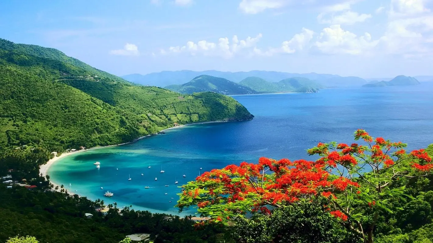 高精度独特高性能